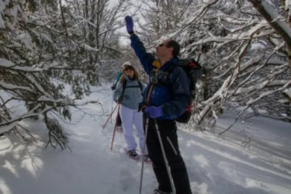 Raquettes à neige privative Gazon par le lac Vert - Bonjour Alsace