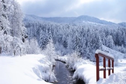 Raquettes privative au Grand Ventron - Bonjour Alsace