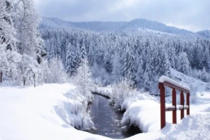 Raquettes  privative du Grand Ventron - Bonjour Alsace