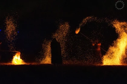 Spectacle équestre flamboyant - Bonjour Alsace