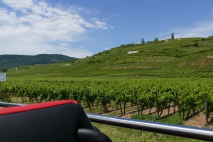 Tour "Best Of Alsace" depuis Strasbourg - Bonjour Alsace