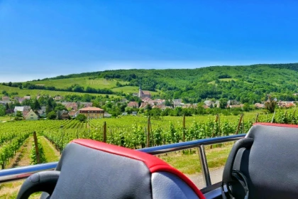 Tour Privé "Coeur d'Alsace" depuis Strasbourg - Bonjour Alsace
