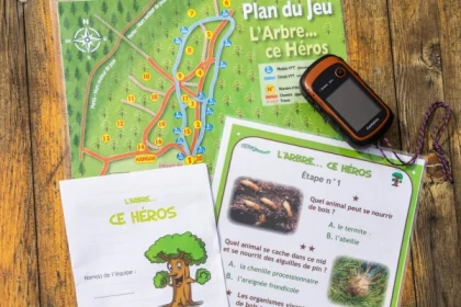 Une journée dans les bois - Bonjour Alsace