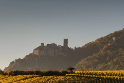 vignoble Alsacien et dégustation - Bonjour Alsace