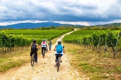 Visite audio-guidée du vignoble en VTT à assistance électrique. - Bonjour Alsace