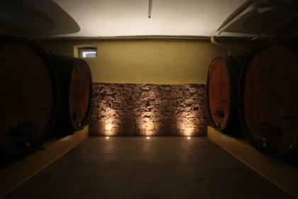 Visite de cave & dégustation - Formule Gourmande - Bonjour Alsace