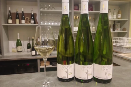 Visite de cave & dégustation - Formule Premium - Bonjour Alsace