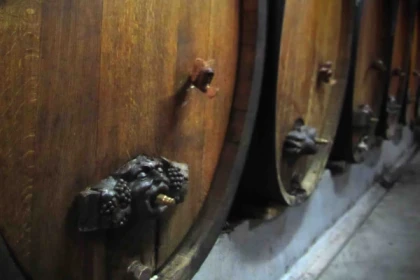 Visite de cave et dégustation de vin bio à Ammerschwihr - Bonjour Alsace