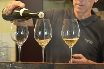 Visite de cave et dégustation - Bonjour Alsace