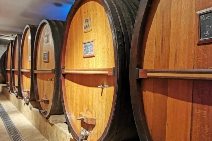 Visite Découverte - Bonjour Alsace