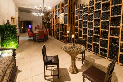 Visite du domaine et dégustation commentée - Bonjour Alsace