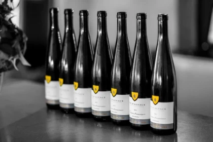 Visite du domaine et dégustation commentée - Bonjour Alsace