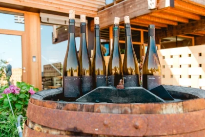 Visite du domaine et dégustation de nos vins - Bonjour Alsace