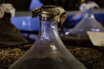 Visite et dégustation avec Kougelhopf - Bonjour Alsace