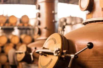 Visite et dégustation avec Kougelhopf - Bonjour Alsace