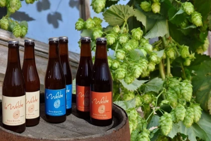 Visite Guidée Brasserie du Pays Welche - Bonjour Alsace