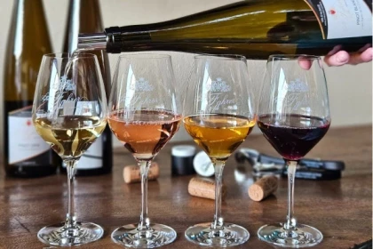 Visite guidée du domaine viticole en Alsace - Bonjour Alsace