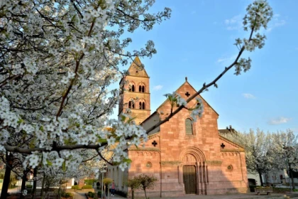 Visite guidée : Sigolsheim et le célèbre vin de Sigold - Bonjour Alsace