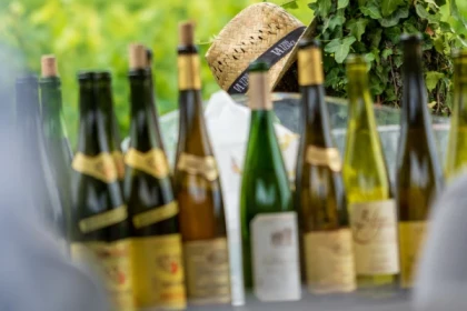 WETTOLSHEIM #6 - Atelier Tournée des Terroirs - Verticale du Grand Cru Steingrubler - Bonjour Alsace