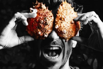 WOLXHEIM #5 - Atelier Tournée des Terroirs - Street food et vins de Wolxheim - Bonjour Alsace