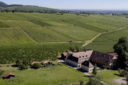 WUENHEIM #9 - Bonjour Alsace