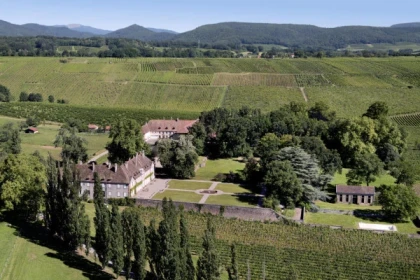 WUENHEIM #9 - Bonjour Alsace