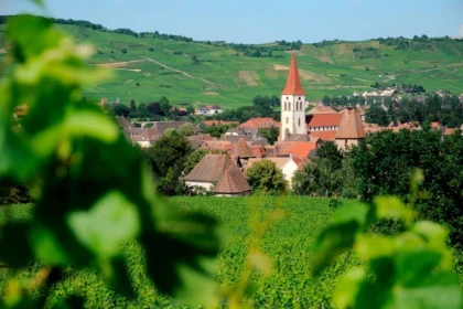 AMMERSCHWIHR #14 - Bonjour Alsace