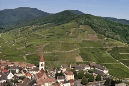 AMMERSCHWIHR #14 - Atelier - La viticulture à Ammerschwihr, une histoire millénaire - Bonjour Alsace
