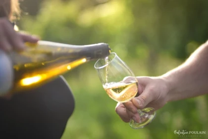 Apéro Gourmand: Apéro Héxagonal - Bonjour Alsace