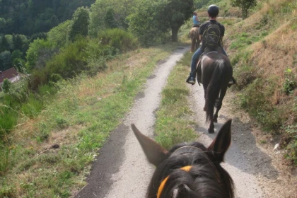 Balade à cheval de 3h00 - Bonjour Alsace
