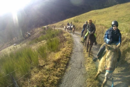 Balade à cheval pour débutants - Bonjour Alsace