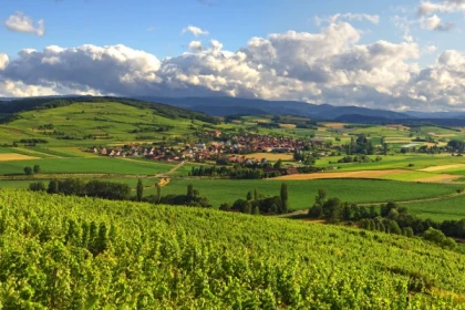 BERGBIETEN #15 - Bonjour Alsace