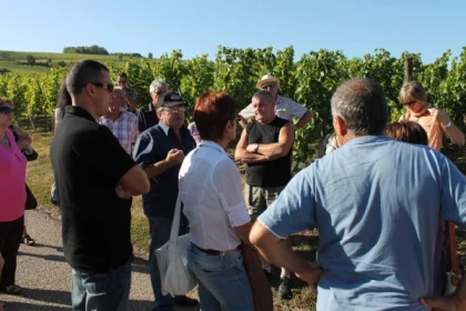 BERGBIETEN #15 - Atelier Tournée des Terroirs - La géologie de l'Altenberg de Bergbieten - Bonjour Alsace