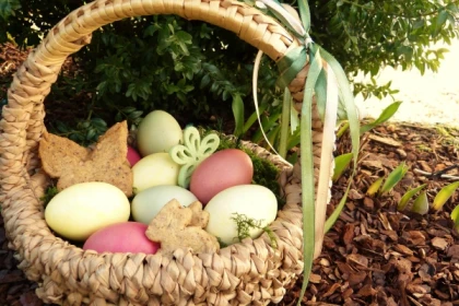 Chasse au trésor de Pâques au Vignoble - Bonjour Alsace