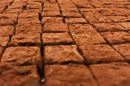 Circuit Gastronomique à Bordeaux_ - Bonjour Alsace