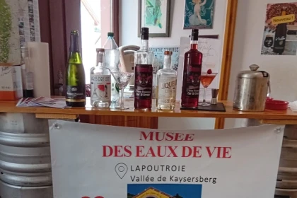 dégustation de cocktails et liqueurs artisanales - Bonjour Alsace