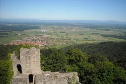DAMBACH #3 - Atelier Tournée des Terroirs - Randonnée jusqu'au Château du Bernstein - Bonjour Alsace