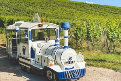 DAMBACH #3 - Atelier Tournée des Terroirs - Balade en Petit Train du Vigneron - Bonjour Alsace