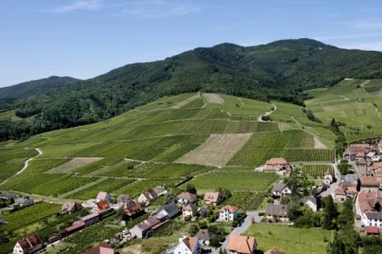 DAMBACH-LA-VILLE #3 - Bonjour Alsace