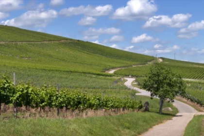 DAMBACH-LA-VILLE #3 - Bonjour Alsace