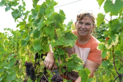 Osez le vin au féminin & Pique-nique du vigneron VIP - Bonjour Alsace