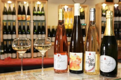 Découverte vin + dégustation (français) - Bonjour Alsace