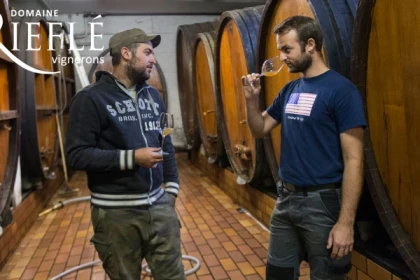 Dégustation de 4 vins d'Alsace BIO (6 personnes max.) - Bonjour Alsace