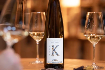 Dégustation Riesling d'Alsace et Terroirs - Bonjour Alsace