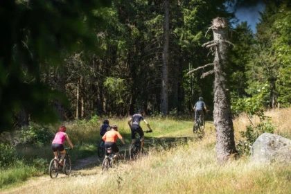 Descente découverte accompagnée en VTT - Bonjour Alsace