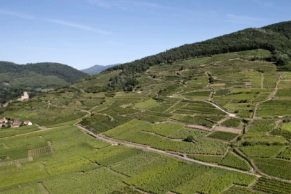 KAYSERSBERG #10 - Atelier Tournée des Terroirs - 50 ans de Grand Cru Schlossberg - Bonjour Alsace
