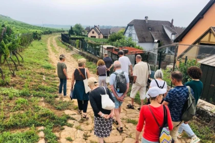 KAYSERSBERG #10 - Atelier Tournée des Terroirs - Variations Schlossberg - Bonjour Alsace