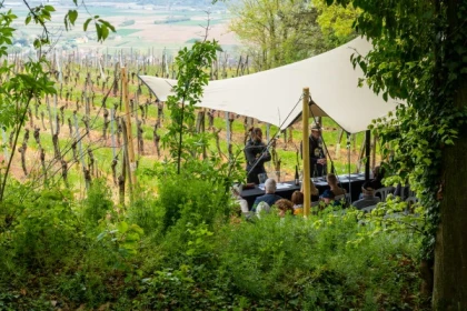 KIENTZHEIM #3 - Bonjour Alsace