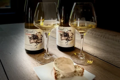 Masterclass : vivez les accords Foies Gras & Vins bio avec leurs producteurs - Bonjour Alsace