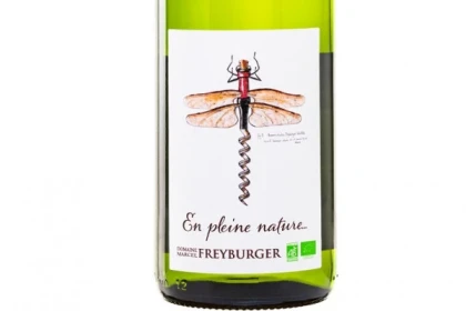 MASTERCLASS RIESLING - Bonjour Alsace